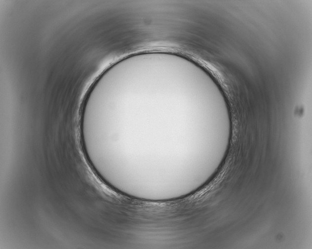 X0000096491470200801241158