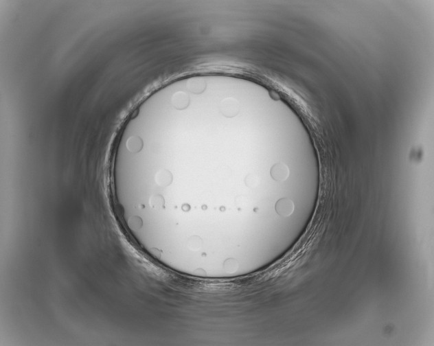 X0000096491471200801241158