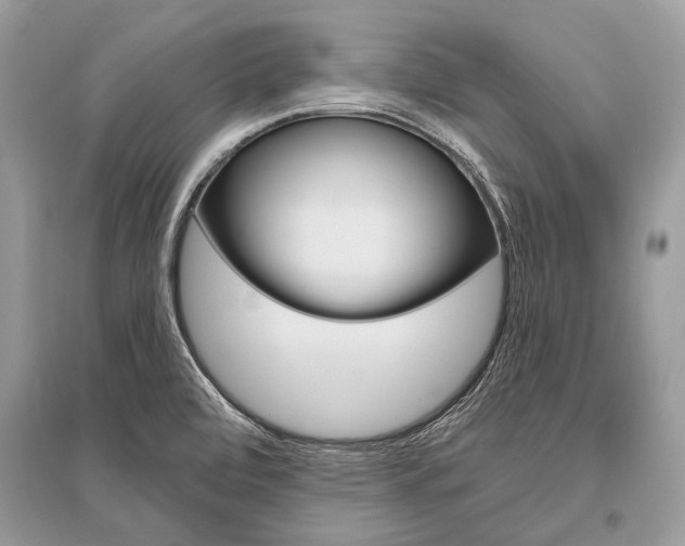 X0000096491472200801241158