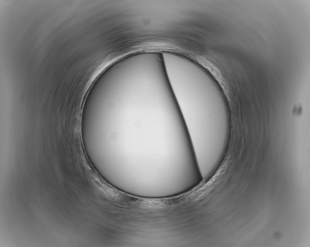 X0000096491473200801241158