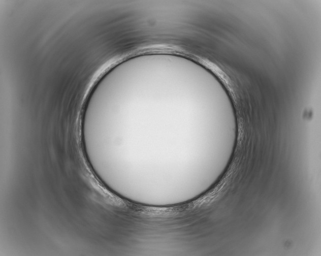 X0000096491474200801241158