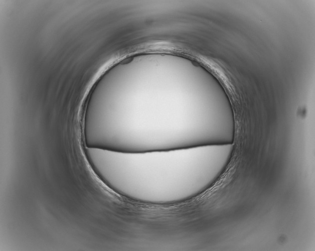 X0000096491475200801241158