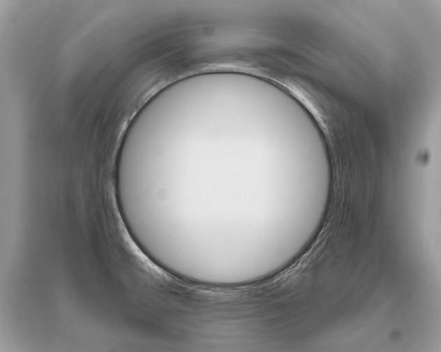 X0000096491476200801241158