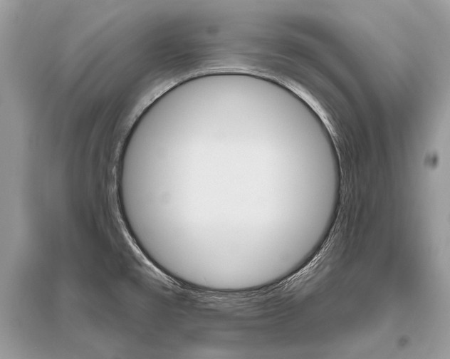 X0000096491477200801241158