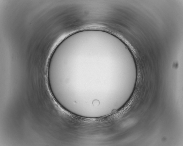 X0000096491478200801241158