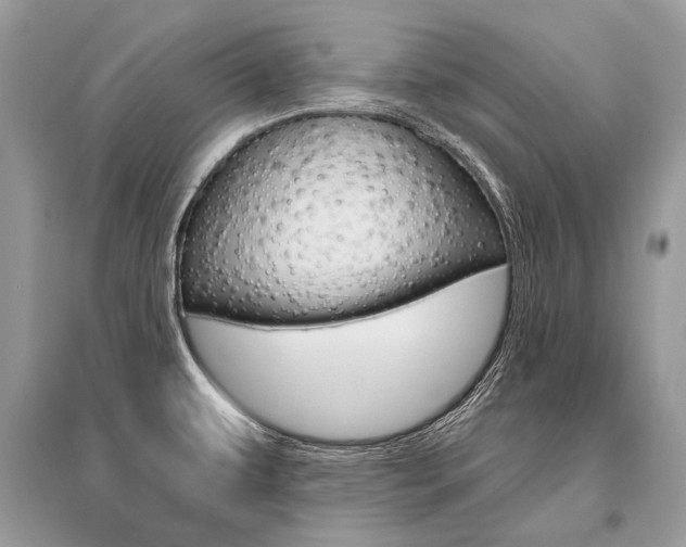 X0000096491479200801241158