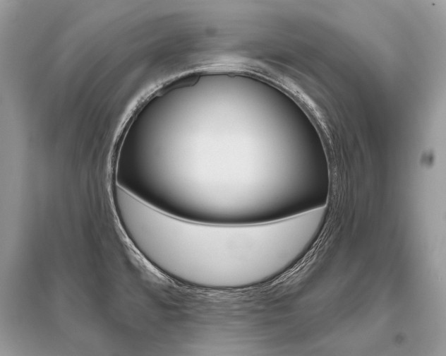 X0000096491480200801241158