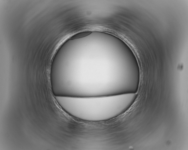 X0000096491481200801241158