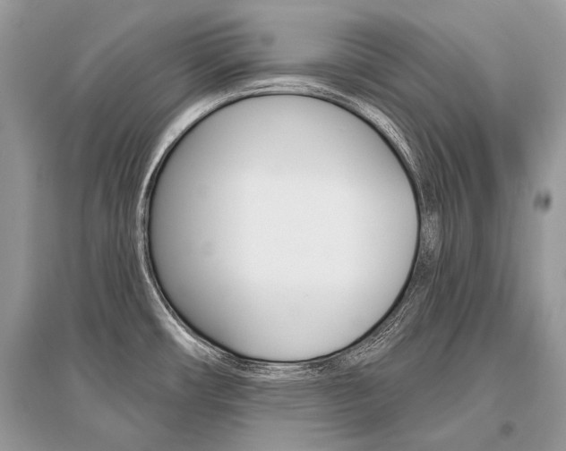 X0000096491482200801241158