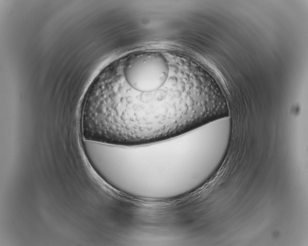 X0000096491483200801241158