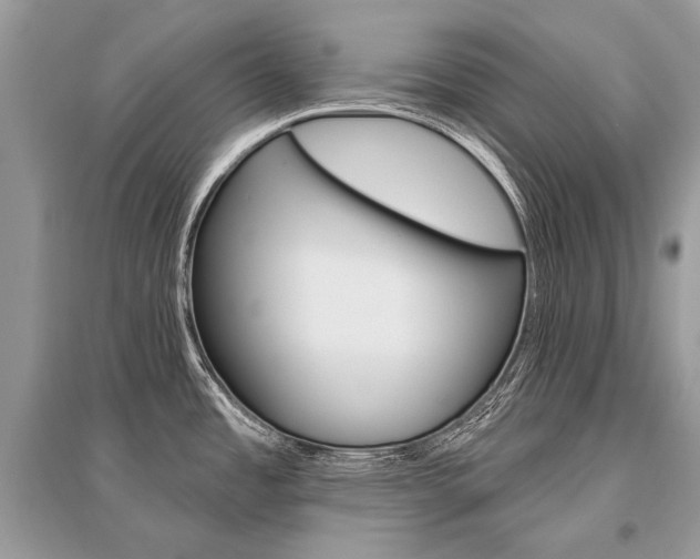 X0000096491485200801241158