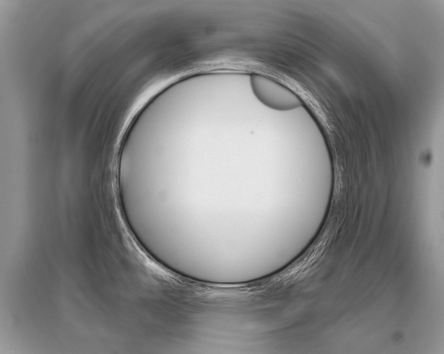 X0000096491486200801241158