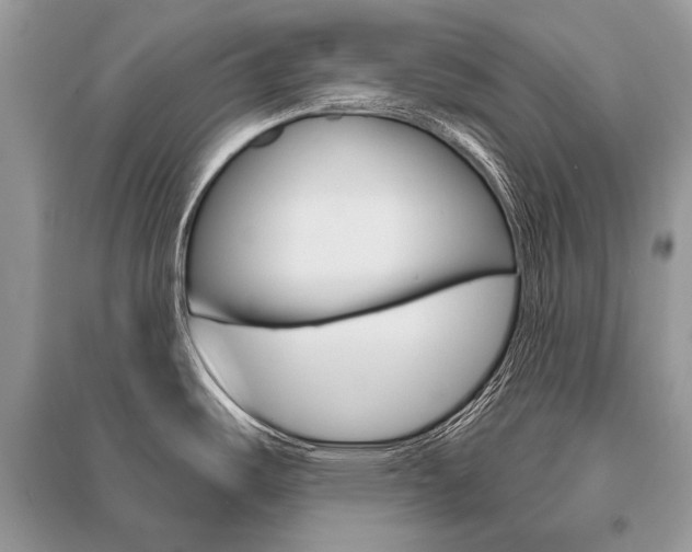 X0000096491487200801241158