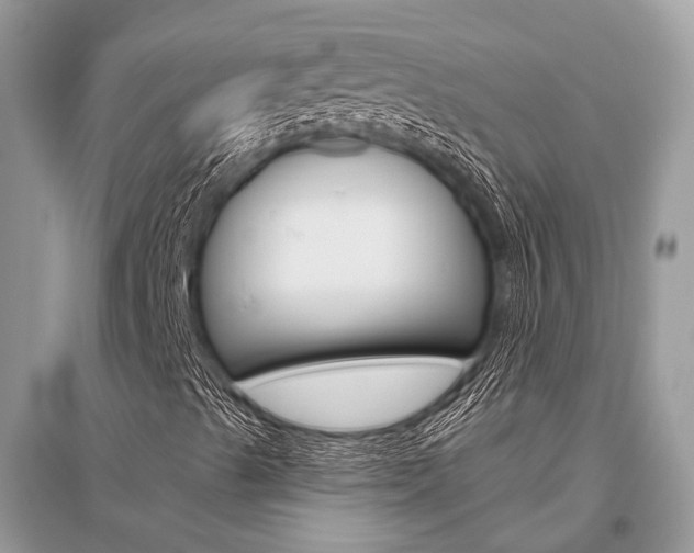 X0000096491489200801241158