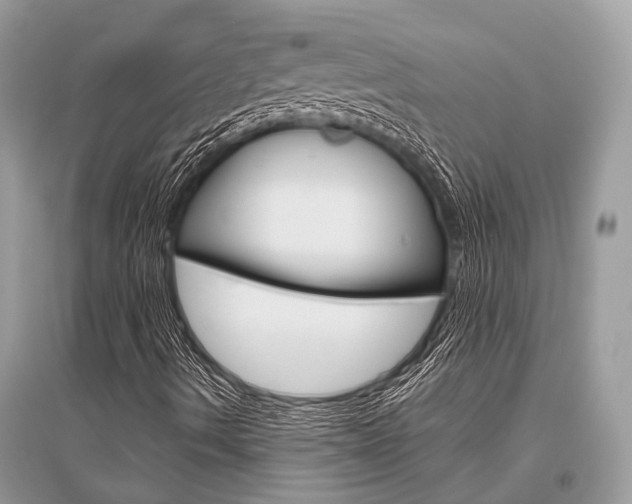 X0000096491490200801241158