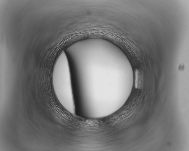 X0000096491491200801241158