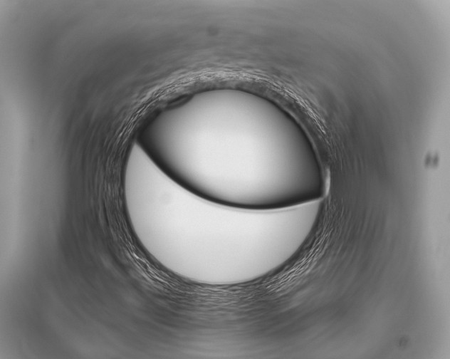 X0000096491492200801241158
