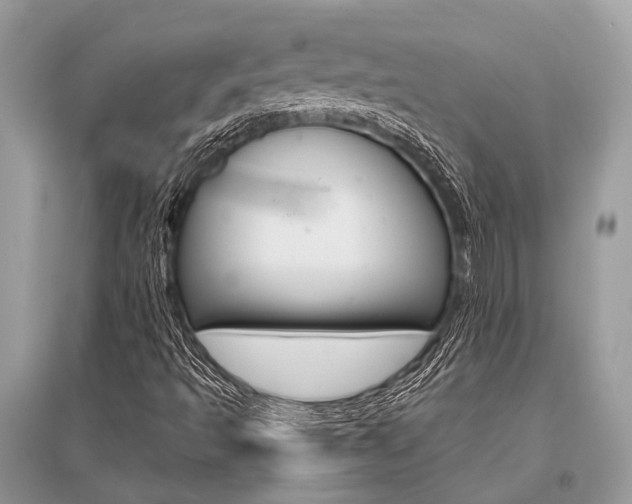 X0000096491493200801241158