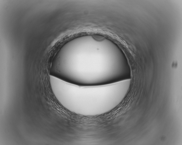 X0000096491495200801241158