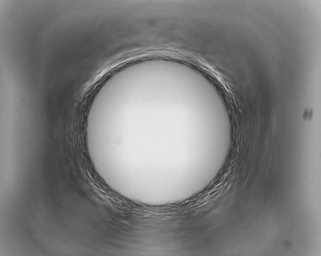 X0000096491496200801241158