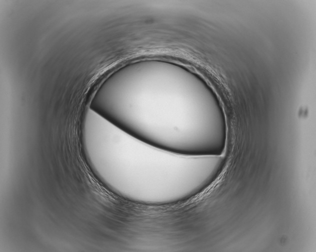 X0000096491497200801241158