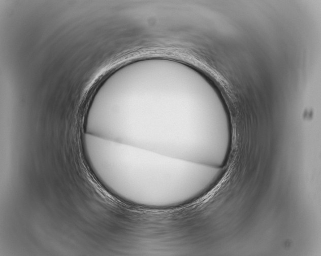 X0000096491498200801241158