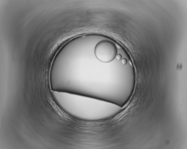 X0000096491499200801241158