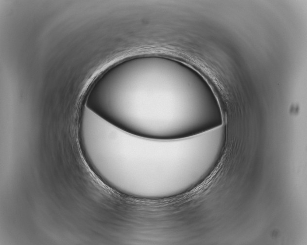 X0000096491500200801241158