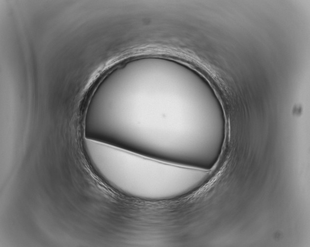 X0000096491501200801241158