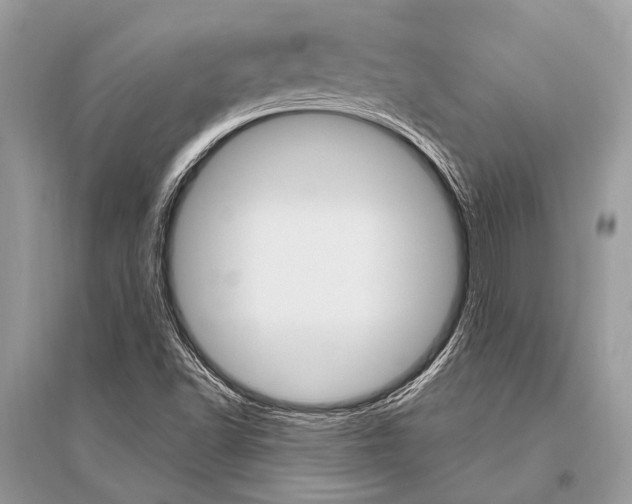X0000096491502200801241158