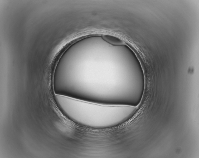 X0000096491503200801241158