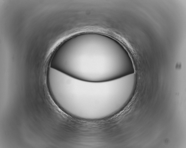 X0000096491504200801241158