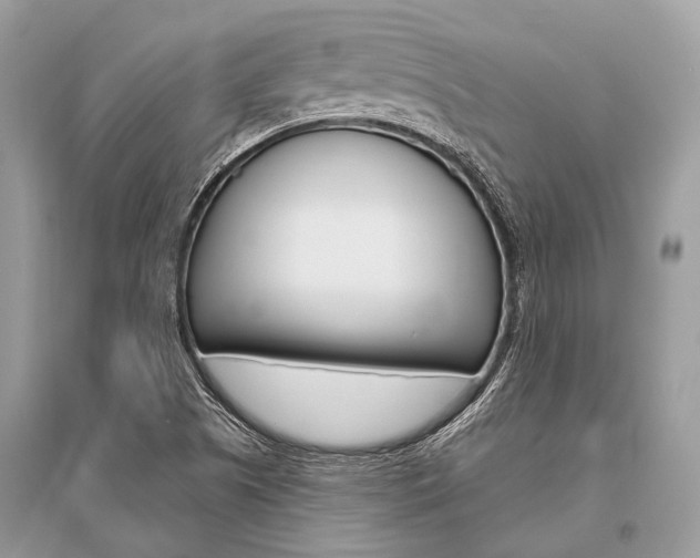 X0000096491505200801241158