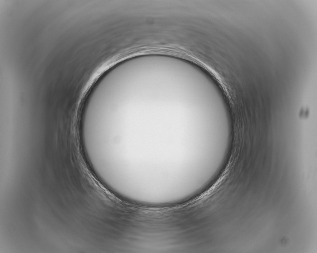 X0000096491506200801241158