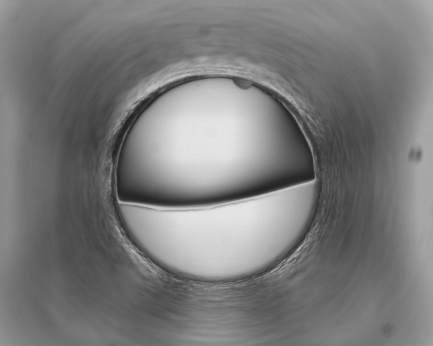 X0000096491507200801241158