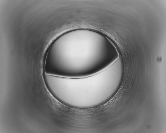 X0000096491508200801241158