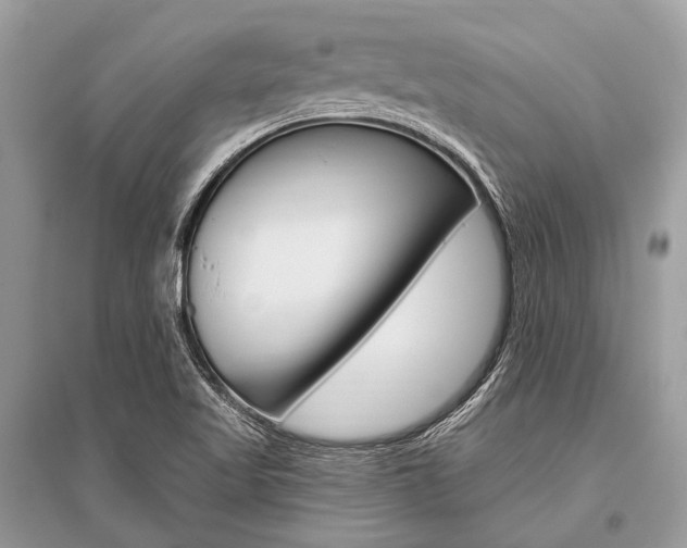 X0000096491509200801241158
