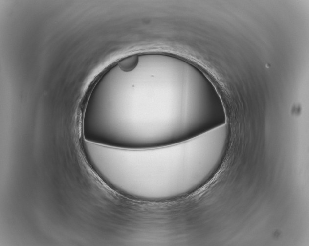 X0000096491510200801241158