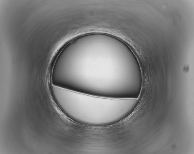 X0000096491511200801241158