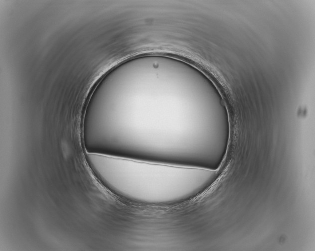 X0000096491513200801241158