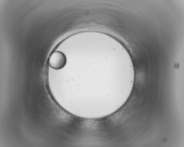 X0000096491514200801241158