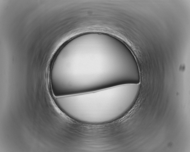X0000096491515200801241158
