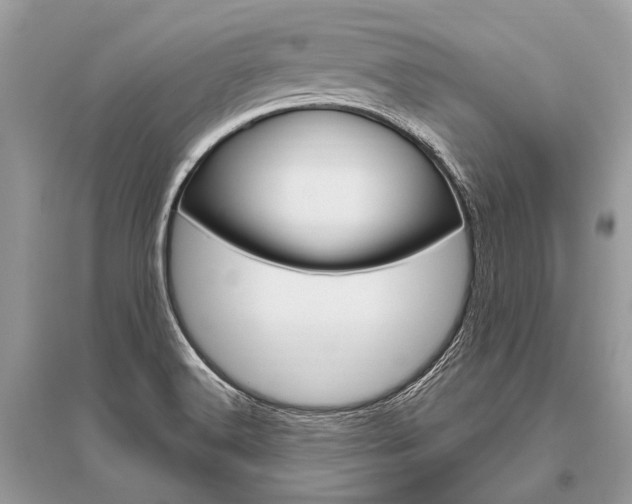 X0000096491516200801241158