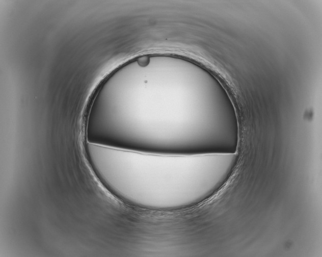 X0000096491517200801241158