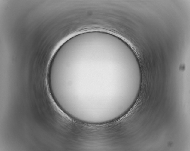 X0000096491518200801241158