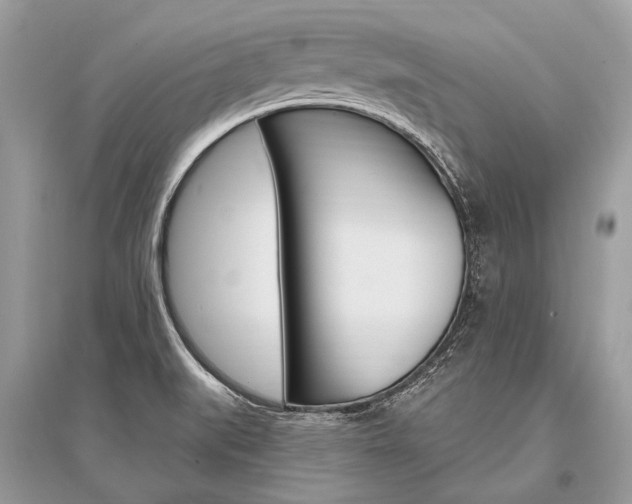 X0000096491519200801241158