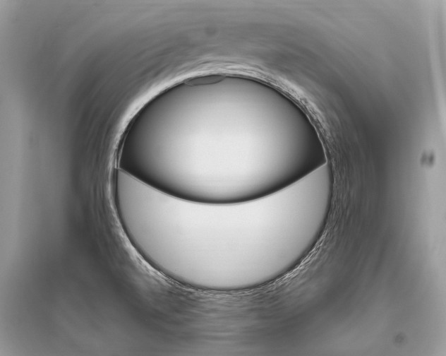 X0000096491520200801241158
