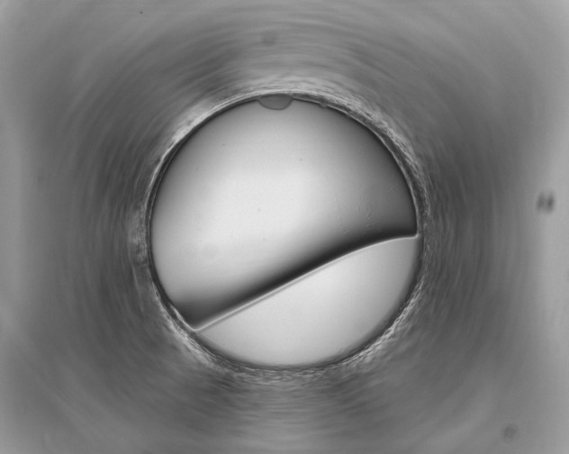 X0000096491521200801241158