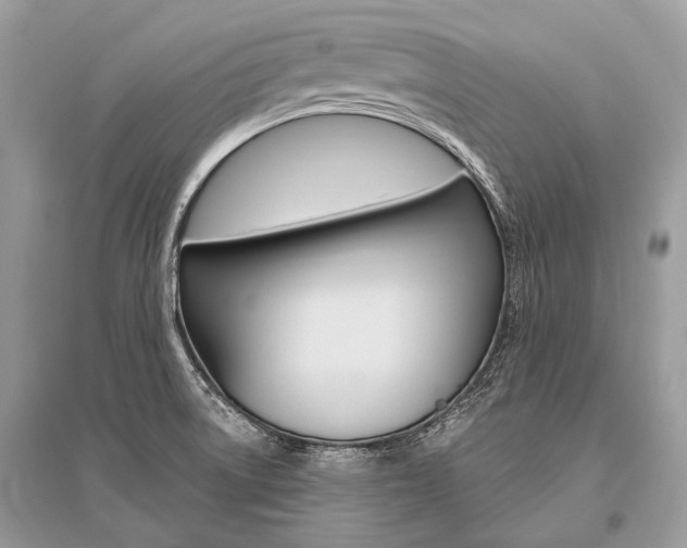 X0000096491522200801241158