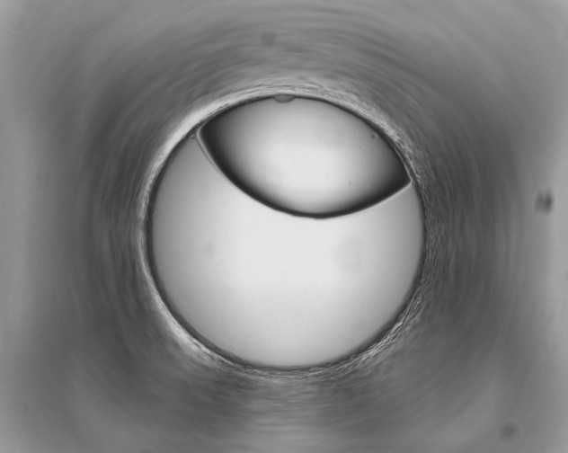 X0000096491523200801241158